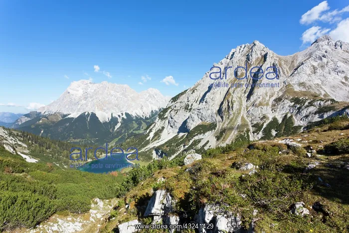 : Mountain lake Seeben (Seebensee) in the : Mountain lake Seeben (Seebensee) in the