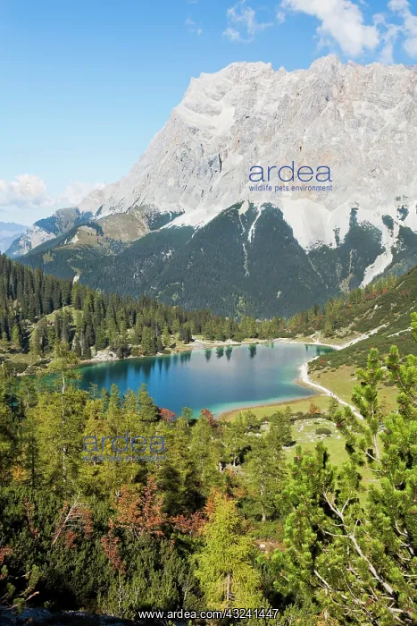 : Mountain lake Seeben (Seebensee) in the : Mountain lake Seeben (Seebensee) in the