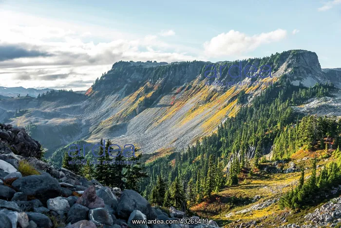 : Mountain landscape in autumn, Tabletop Mountain : Mountain landscape in autumn, Tabletop Mountain