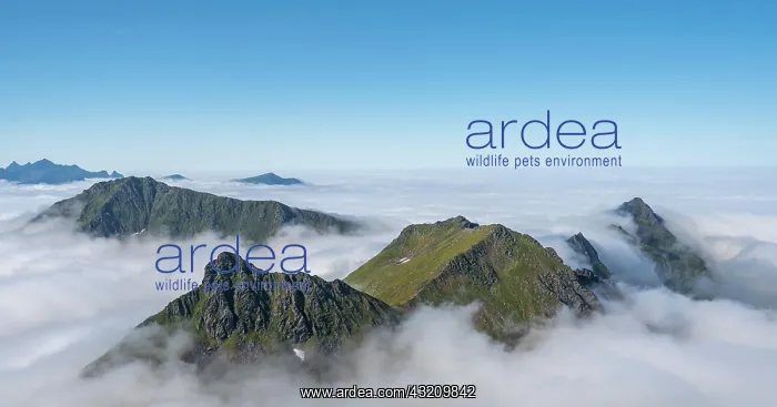 : Mountain landscape in clouds, view from the top : Mountain landscape in clouds, view from the top