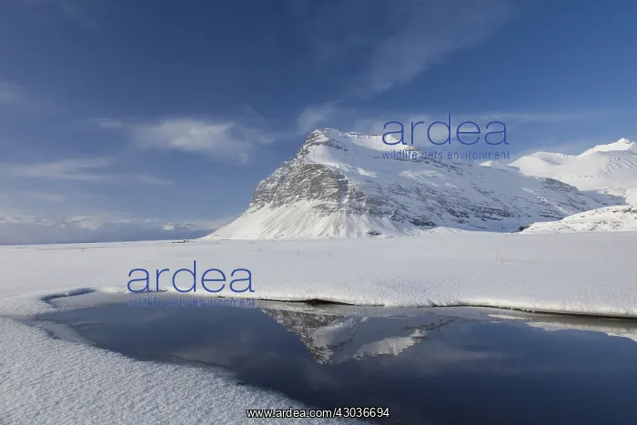 : Mountain landscape Fellsfjall in winter - Iceland : Mountain landscape Fellsfjall in winter - Iceland