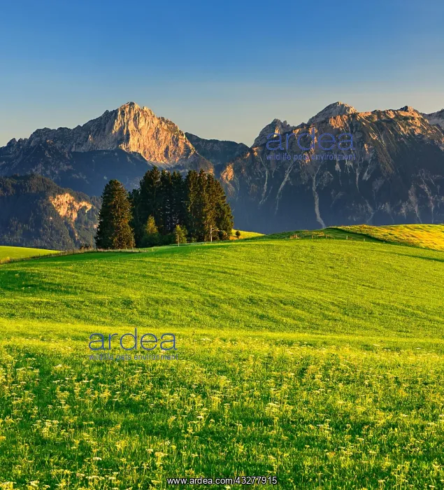 : Mountain landscape, green meadows and mountains : Mountain landscape, green meadows and mountains