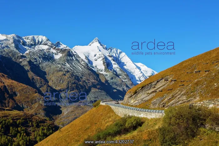 : Mountain landscape, Grossglockner High Alpine Road : Mountain landscape, Grossglockner High Alpine Road