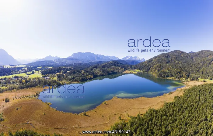 : Mountain landscape, Lake Barmsee near Kran, Wetterstein : Mountain landscape, Lake Barmsee near Kran, Wetterstein