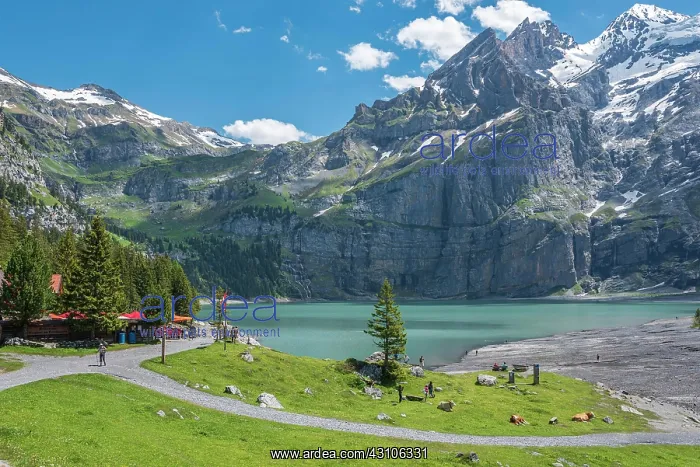 : Mountain landscape on Lake Oeschinen with Blaemlisalp : Mountain landscape on Lake Oeschinen with Blaemlisalp