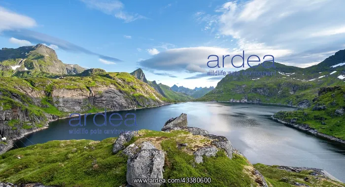 : Mountain landscape with lake Tennesvatnet, at sunrise : Mountain landscape with lake Tennesvatnet, at sunrise