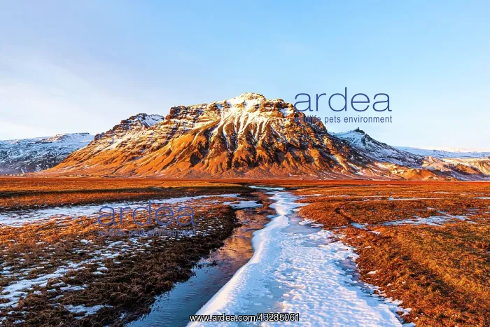 : Mountain landscape at Myrdalsj&, x1abd6c;l, Sudurland : Mountain landscape at Myrdalsj&, x1abd6c;l, Sudurland