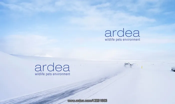 : Mountain landscape in northern Iceland during : Mountain landscape in northern Iceland during