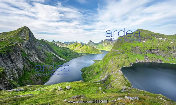 : Mountain landscape with pointed mountain peaks : Mountain landscape with pointed mountain peaks