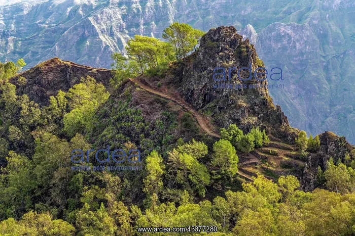 : Mountain Landscape Santo Antao Island Cape Verde : Mountain Landscape Santo Antao Island Cape Verde