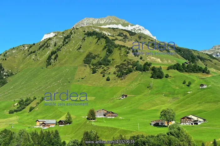 : Mountain landscape with scattered settlement in : Mountain landscape with scattered settlement in