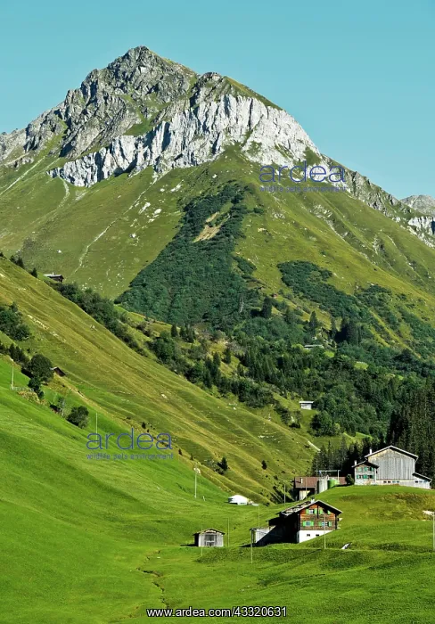 : Mountain landscape with scattered settlement in : Mountain landscape with scattered settlement in