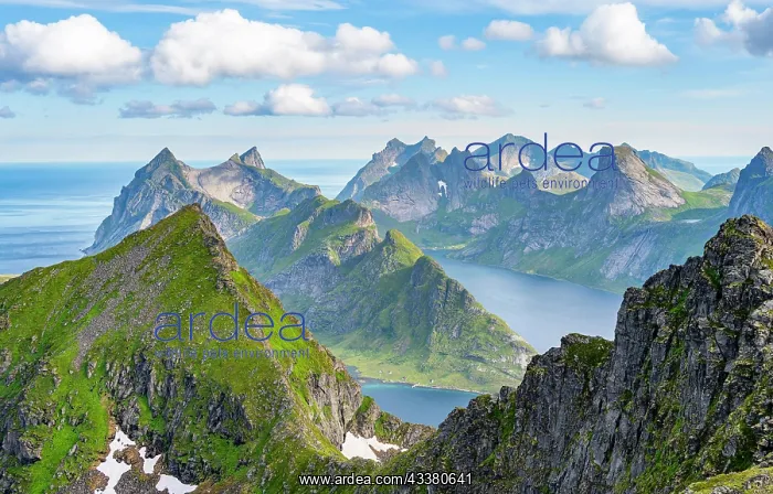 : Mountain landscape with steep rocky peaks fjords : Mountain landscape with steep rocky peaks fjords