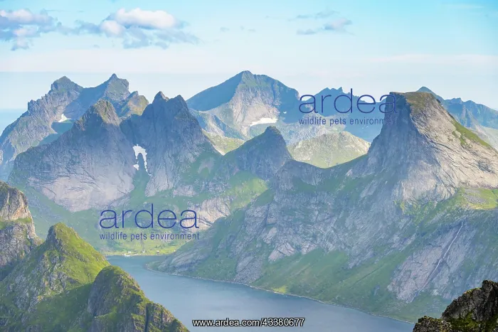 : Mountain landscape with steep rocky peaks fjords : Mountain landscape with steep rocky peaks fjords