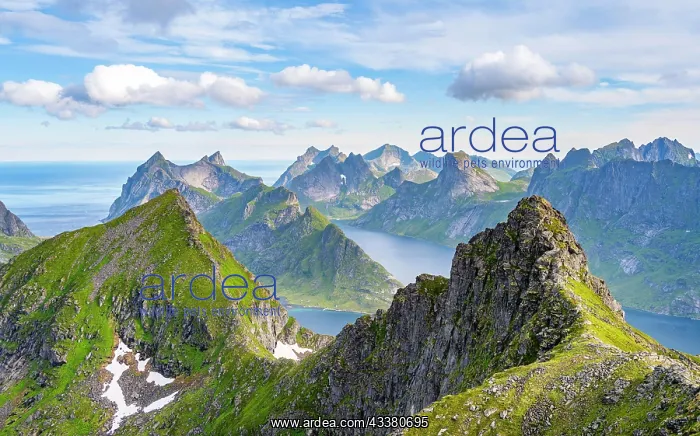 : Mountain landscape with steep rocky peaks fjords : Mountain landscape with steep rocky peaks fjords
