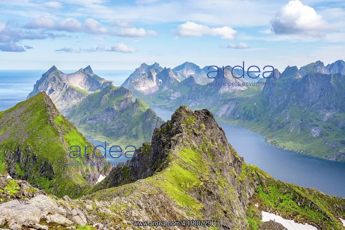 : Mountain landscape with steep rocky peaks fjords : Mountain landscape with steep rocky peaks fjords
