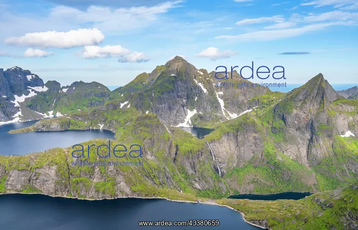 : Mountain landscape with steep rocky peaks, lakes : Mountain landscape with steep rocky peaks, lakes