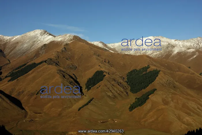  : Mountain landscape, Tienschan, Kazakhstan