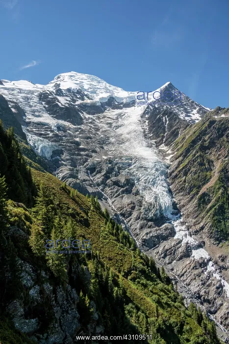 : Mountain landscape, view of glacier Glacier de Taconnaz : Mountain landscape, view of glacier Glacier de Taconnaz
