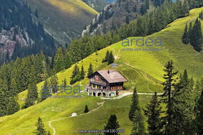 : Mountain lodge Soldatenhaus, Chalet du Soldat, Gastlosen : Mountain lodge Soldatenhaus, Chalet du Soldat, Gastlosen