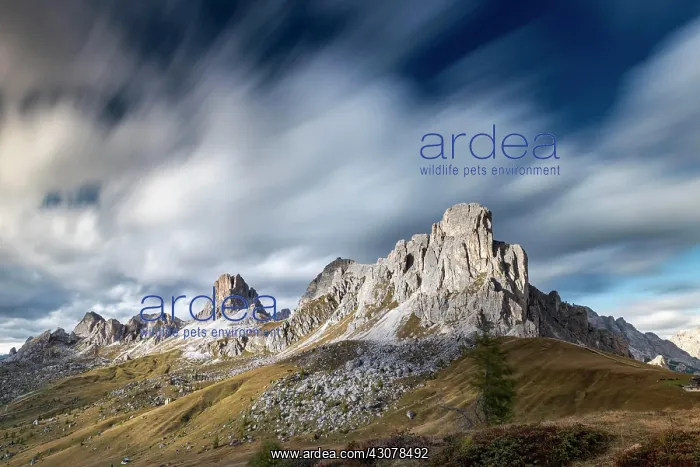 : Mountain massif, Passo di Giau, Dolomites, Italy : Mountain massif, Passo di Giau, Dolomites, Italy