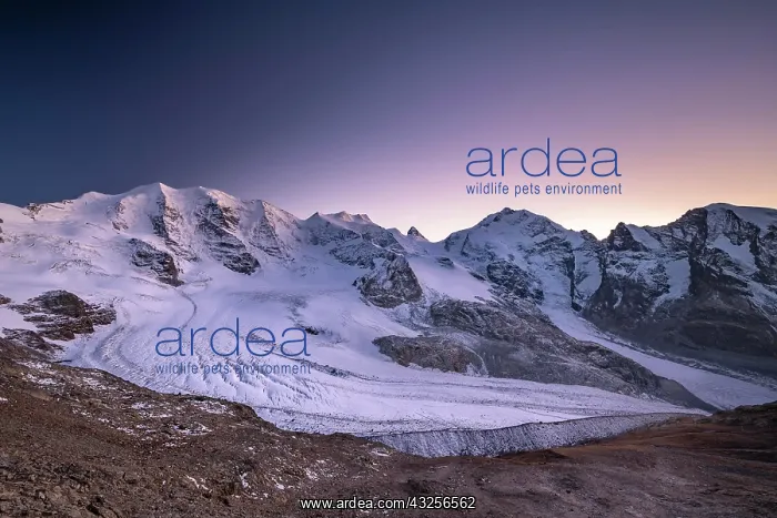 : Mountain panorama on the Diavolezza, view of the : Mountain panorama on the Diavolezza, view of the