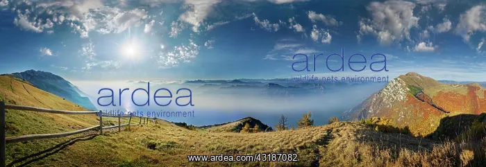 : Mountain panorama with Lake Garda in the morning : Mountain panorama with Lake Garda in the morning