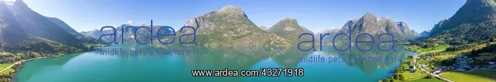 : Mountain panorama, lake Oppstrynsvatnet, mountains : Mountain panorama, lake Oppstrynsvatnet, mountains