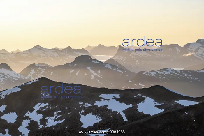 : Mountain panorama with remnants of snow from the : Mountain panorama with remnants of snow from the