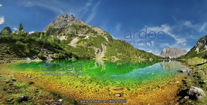 : Mountain panorama at the turquoise Seebensee with : Mountain panorama at the turquoise Seebensee with