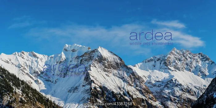 : Mountain panorama in winter from Untere Lugenalpe, 1 : Mountain panorama in winter from Untere Lugenalpe, 1