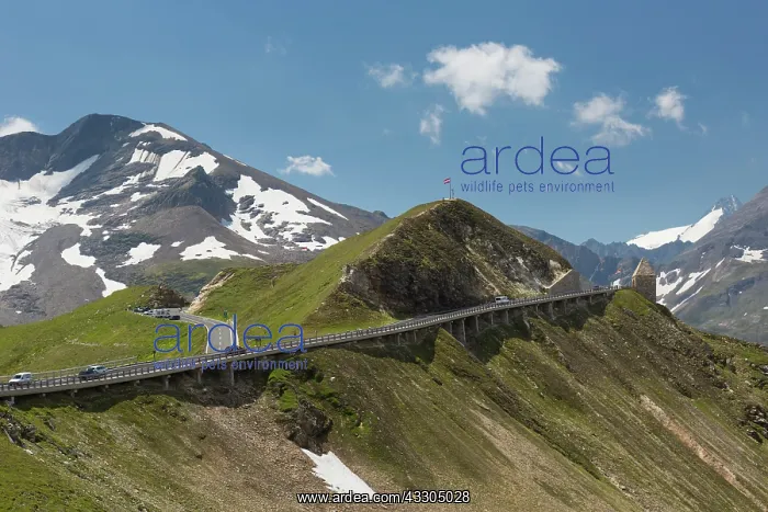 : Mountain pass Fuscher Toerl (2.428 m) at High Tauern : Mountain pass Fuscher Toerl (2.428 m) at High Tauern