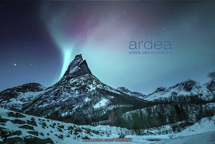 : Mountain peak (Aurora borealis) Stetind, arctic : Mountain peak (Aurora borealis) Stetind, arctic