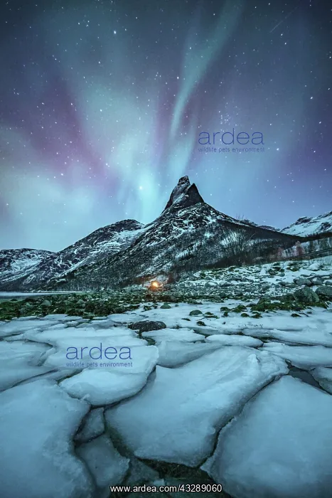 : Mountain peak (Aurora borealis) Stetind, arctic : Mountain peak (Aurora borealis) Stetind, arctic