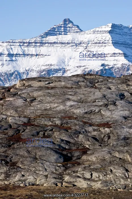 : Mountain peak, Danmark Island, Scoresby : Mountain peak, Danmark Island, Scoresby