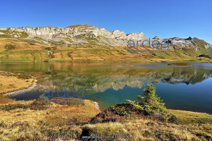 : Mountain peak Tannenstock, Rotsandnollen, Barglen : Mountain peak Tannenstock, Rotsandnollen, Barglen