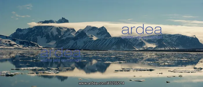 : Mountain Range and clouds with Icebergs : Mountain Range and clouds with Icebergs