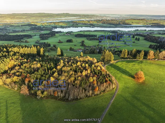 : Mountain range near village Wertach : Mountain range near village Wertach