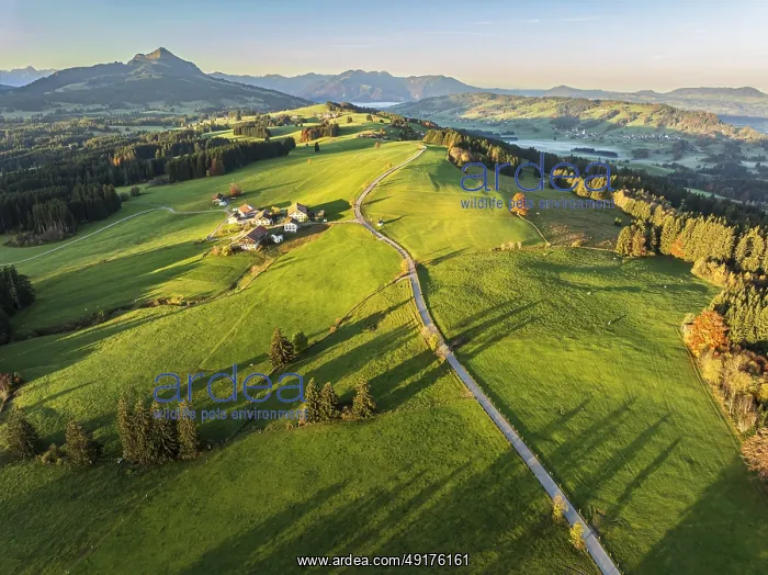 : Mountain range near village Wertach : Mountain range near village Wertach