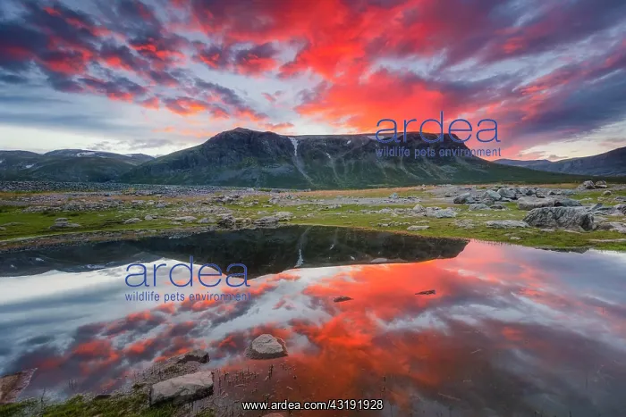 : Mountain range reflected in the lake in evening : Mountain range reflected in the lake in evening