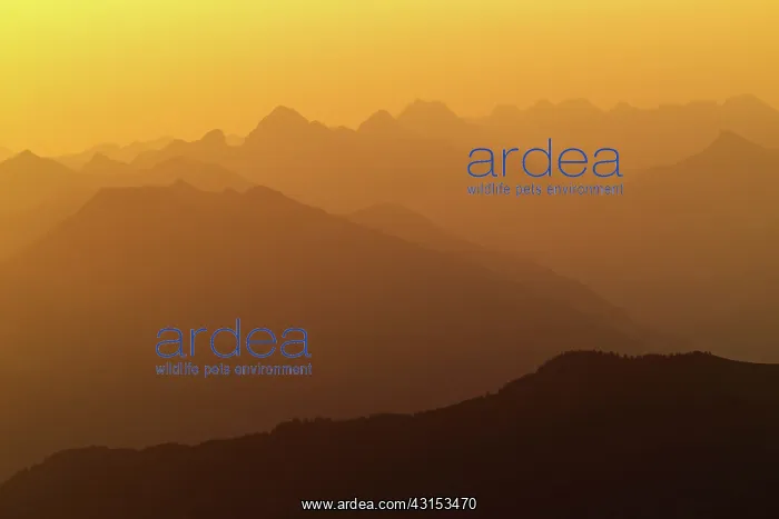 : Mountain range silhouetted at sunrise : Mountain range silhouetted at sunrise