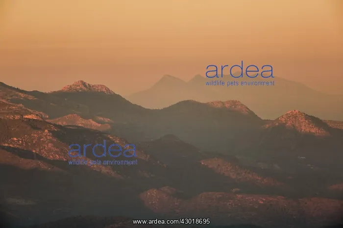  : Mountain Range at sunset