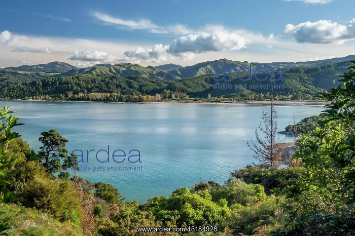 : Mountain range behind Torrent Bay, Abel Tasman Coastal : Mountain range behind Torrent Bay, Abel Tasman Coastal