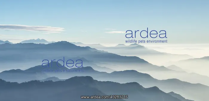 : Mountain ranges in the Hehuanshan Mountains, Nantou : Mountain ranges in the Hehuanshan Mountains, Nantou