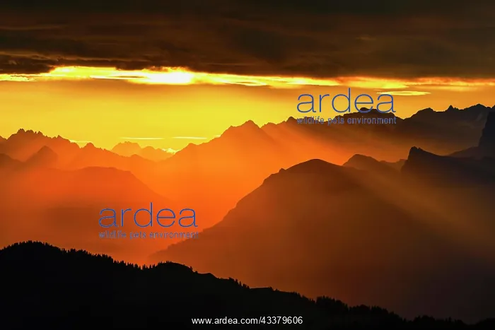 : Mountain ranges in the morning light, Brienzer Rothorn : Mountain ranges in the morning light, Brienzer Rothorn