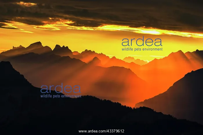 : Mountain ranges in the morning light, Brienzer Rothorn : Mountain ranges in the morning light, Brienzer Rothorn