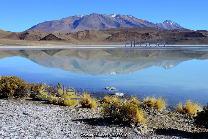 : Mountain reflected in the Laguna Ramaditas, lagoon : Mountain reflected in the Laguna Ramaditas, lagoon