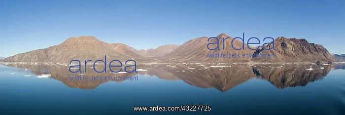 : Mountain reflection panorama, Godthab Golf : Mountain reflection panorama, Godthab Golf