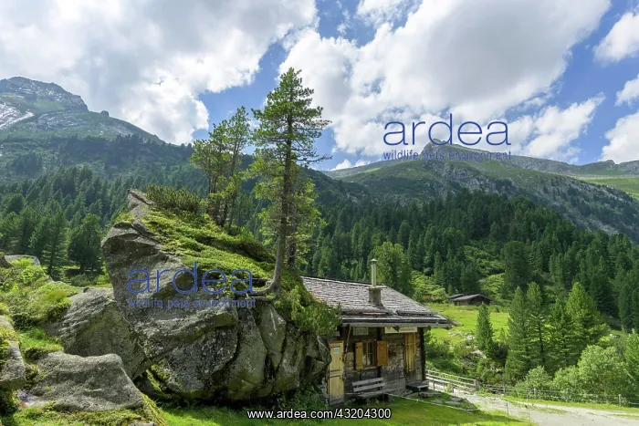 : Mountain rescue hut, NP Hohe Tauern, Obersulzbachtal : Mountain rescue hut, NP Hohe Tauern, Obersulzbachtal