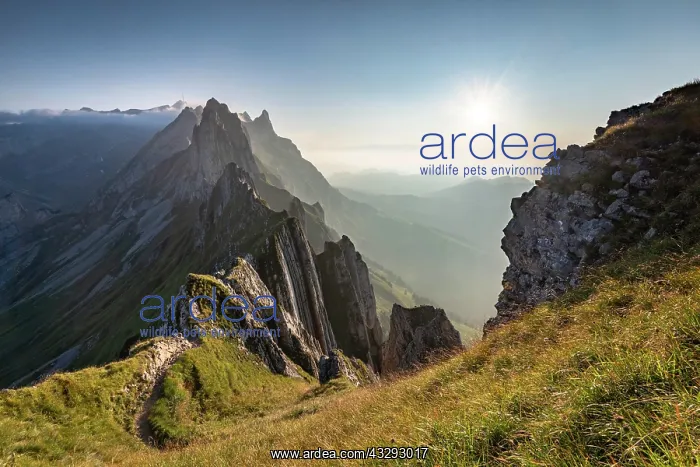 : Mountain ridge in the Alpstein range in atmospheric : Mountain ridge in the Alpstein range in atmospheric